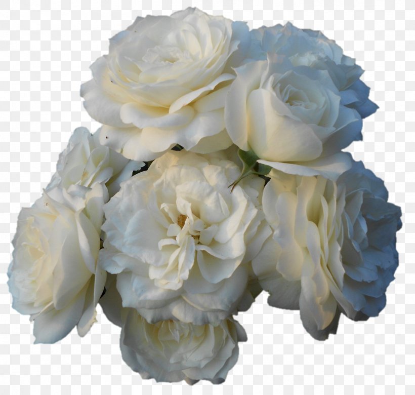 Garden Roses Centifolia Roses Floral Design Gardenia Cut Flowers, PNG, 1098x1045px, Garden Roses, Artificial Flower, Centifolia Roses, Cut Flowers, Floral Design Download Free