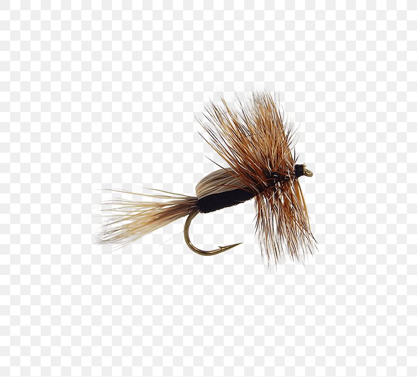 Artificial Fly Quill Gordon Pheasant Tail Nymph Fly Fishing, PNG, 555x741px, Artificial Fly, Fishing, Fishing Bait, Fishing Baits Lures, Fly Download Free
