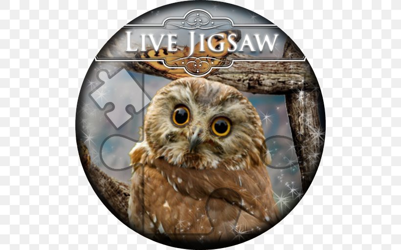 Baby Owls Bird Desktop Wallpaper Northern Saw-whet Owl, PNG, 512x512px, Owl, Aegolius, Baby Owls, Barn Owl, Barred Owl Download Free
