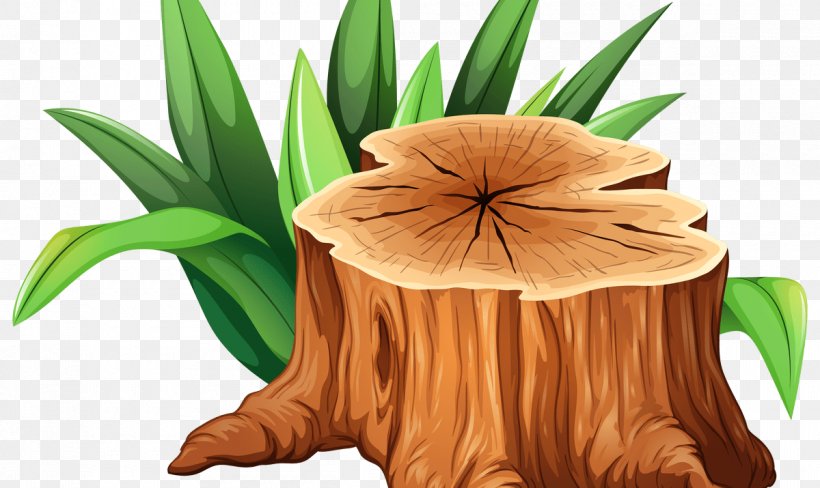 Clip Art Tree Stump Trunk Illustration, PNG, 1200x715px, Tree Stump, Branch, Drawing, Flower, Grass Download Free
