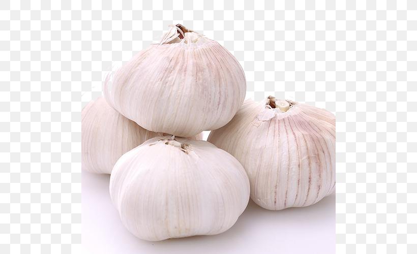 Garlic Shallot Vegetable Allium Fistulosum, PNG, 500x500px, Garlic, Allium Fistulosum, Designer, Food, Gratis Download Free
