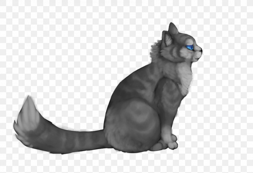 Whiskers Korat Jayfeather Domestic Short-haired Cat Hollyleaf, PNG, 900x619px, Whiskers, Carnivoran, Cat, Cat Like Mammal, Deviantart Download Free