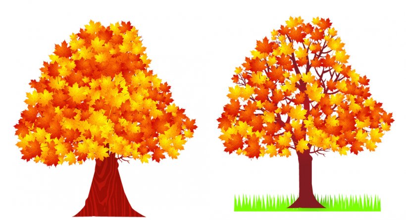 Autumn Leaf Image Deciduous Tree, PNG, 997x542px, Autumn, Animation, Cartoon, Deciduous, Drawing Download Free