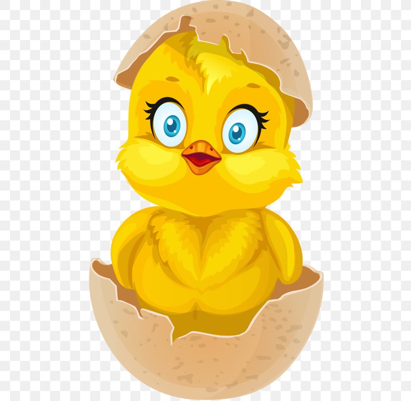 Chicken Egg Kifaranga Clip Art, PNG, 488x800px, Chicken, Art, Beak, Bird, Chicken Egg Download Free