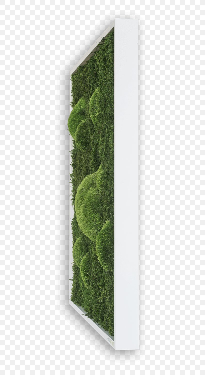 Green Grass Background, PNG, 461x1500px, Moss, Aonori, Bathroom, Decoratie, English Language Download Free