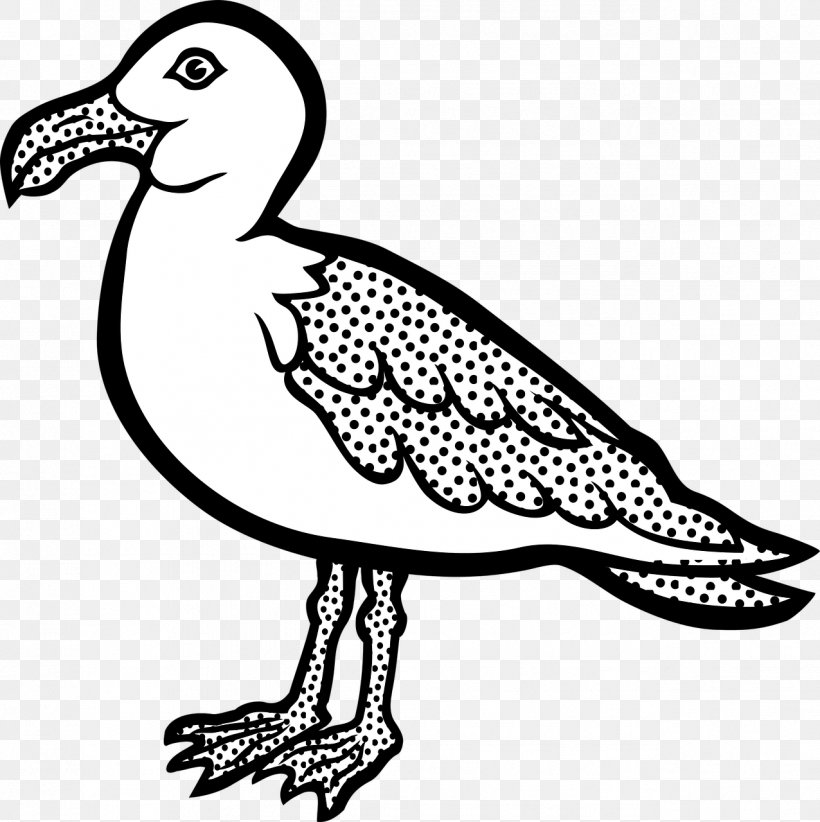 Gulls Bird Clip Art, PNG, 1276x1280px, Gulls, Art, Artwork, Beak, Bird Download Free