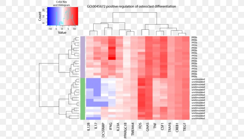 DNA Microarray Heat Map RNA-Seq Nucleic Acid Sequence, PNG, 1024x585px, Dna Microarray, Area, Bioconductor, Brand, Diagram Download Free