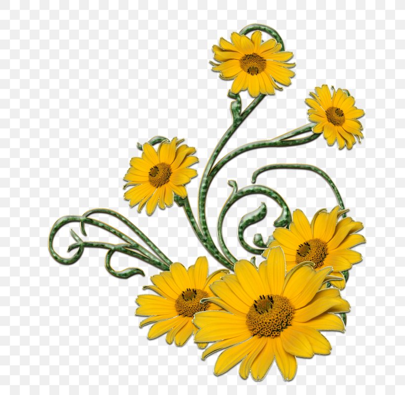 Flower Yellow Clip Art, PNG, 800x800px, Flower, Blog, Calendula, Chrysanths, Common Sunflower Download Free