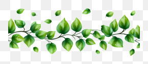 Green Leaf Vine Border PNG