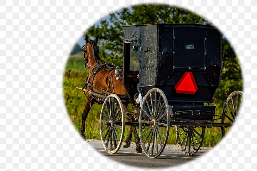 Lancaster County, Pennsylvania J & L Amish Depot Horse And Buggy Old Order Amish, PNG, 2201x1467px, Lancaster County Pennsylvania, Amish, Carriage, Cart, Chariot Download Free