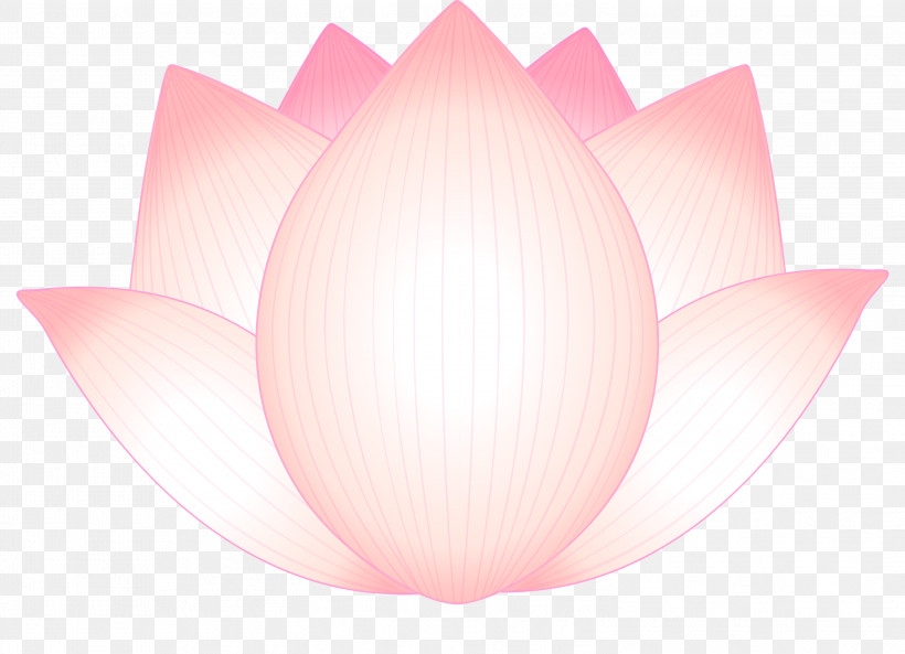 Lotus Flower, PNG, 2999x2170px, Lotus, Aquatic Plant, Flower, Lighting, Lotus Family Download Free