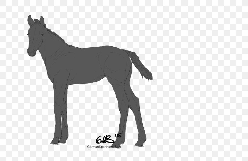Mule Foal Stallion Mustang Boulonnais Horse, PNG, 800x533px, Mule, Animal, Black And White, Boulonnais Horse, Bridle Download Free
