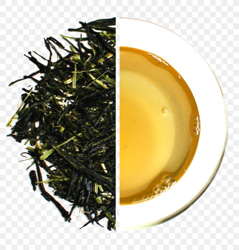 Sencha Green Tea Kabusecha Gyokuro, PNG, 865x906px, Sencha, Assam Tea, Bancha, Ceylon Tea, Da Hong Pao Download Free