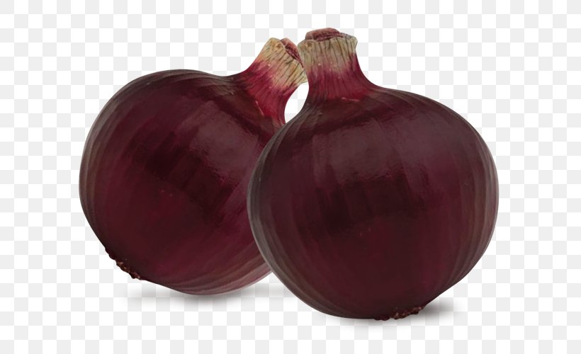 Yellow Onion Shallot Beetroot Red Onion, PNG, 628x500px, Yellow Onion, Beet, Beetroot, Food, Ingredient Download Free