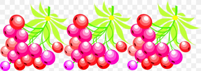 Blackcurrant Fruit Berry Redcurrant Food, PNG, 1280x457px, Blackcurrant, Berry, Blog, Currant, Flower Download Free