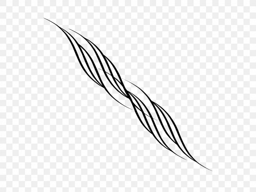 Line Art Feather Monochrome Photography, PNG, 1600x1200px, Line Art, Beak, Black And White, Feather, Flowering Plant Download Free