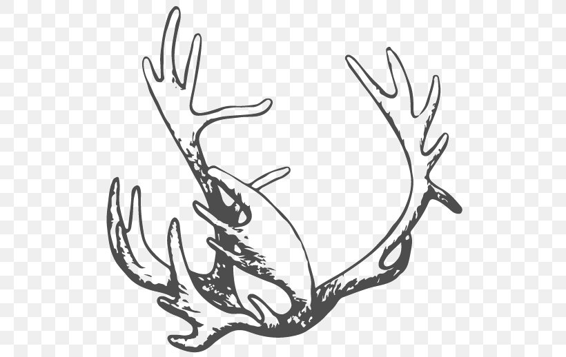 Pello Deer Drawing /m/02csf Clip Art, PNG, 531x518px, Pello, Child, Childhood, Coloring Book, Deer Download Free