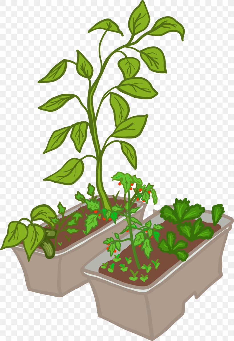 Teacher Houseplant Leaf Student Learning, PNG, 1274x1860px, Teacher, Flowering Plant, Flowerpot, Food, Garden Download Free