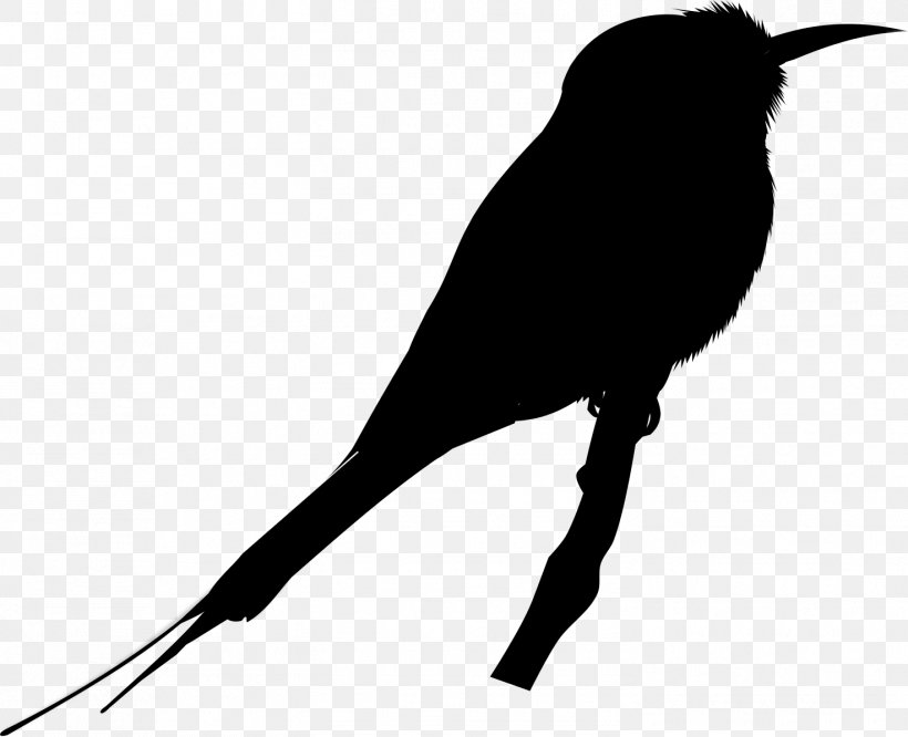 Beak Clip Art Silhouette, PNG, 1473x1198px, Beak, Bird, Blackbird, Hummingbird, Perching Bird Download Free