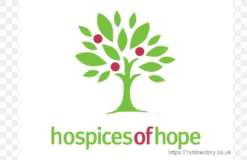 Hospices Of Hope Palliative Care Charity, PNG, 800x532px, Hospice, Branch, Brand, Charitable Organization, Charity Download Free