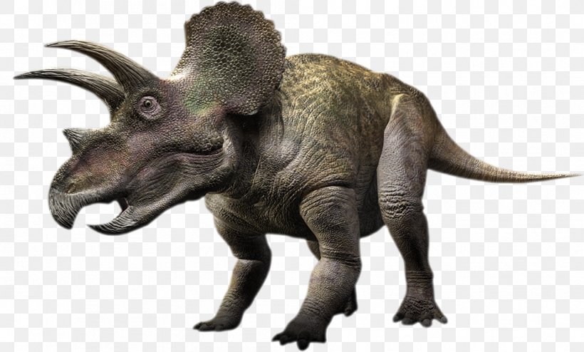 Torosaurus Triceratops Gorgosaurus Pachyrhinosaurus Styracosaurus, PNG, 995x600px, Torosaurus, Ballad Of Big Al, Ceratopsians, Dinosaur, Extinction Download Free