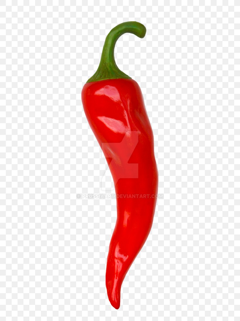 Bell Pepper Chili Pepper Mexican Cuisine Vegetable Food, PNG, 730x1095px, Bell Pepper, Bell Peppers And Chili Peppers, Black Pepper, Capsicum, Capsicum Annuum Download Free