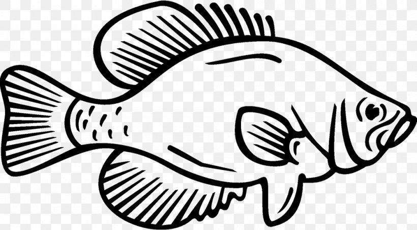 Coloring Book White Crappie Fish Black Crappie, PNG, 1000x552px, Coloring Book, Animal, Artwork, Bass, Black Download Free