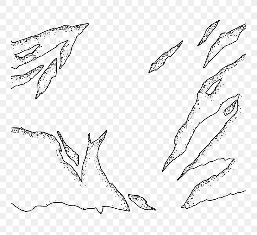 Drawing Line Art Feather Sketch, PNG, 750x750px, Drawing, Arm, Artwork, Beak, Black And White Download Free