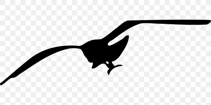 Gulls Bird Clip Art, PNG, 1280x640px, Gulls, Beak, Bird, Black, Black And White Download Free