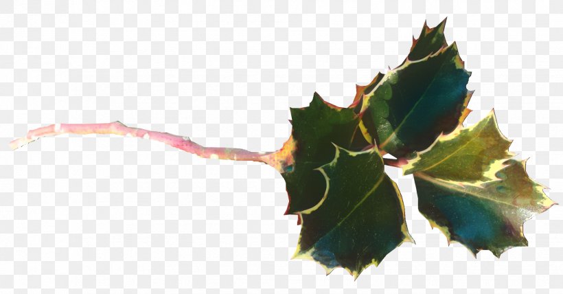 Holly Leaf, PNG, 1939x1014px, Twig, Flower, Holly, Leaf, Plane Download Free