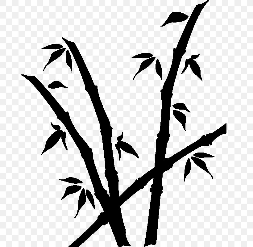 Twig Bambou Plant Stem Sticker Leaf, PNG, 800x800px, Twig, Apple, Bambou, Bathroom, Black And White Download Free