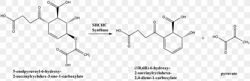 Dextroamphetamine Purple Coneflower Beta-Carotene, PNG, 2967x968px, Dextroamphetamine, Amphetamine, Betacarotene, Black And White, Carotene Download Free