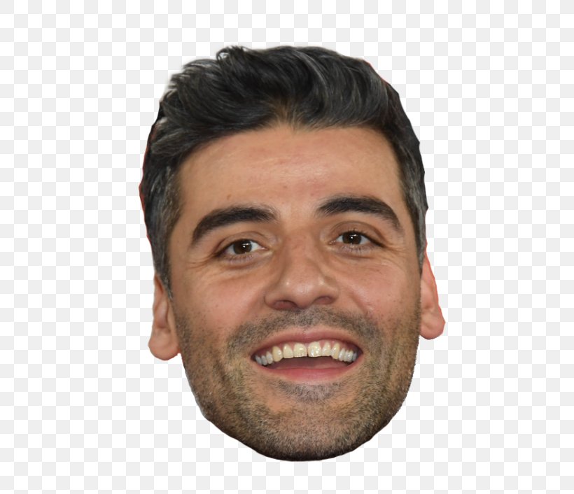 Oscar Isaac Star Wars: The Last Jedi Film Cheek Nose, PNG, 500x706px, Oscar Isaac, Beard, Blog, Cheek, Chin Download Free