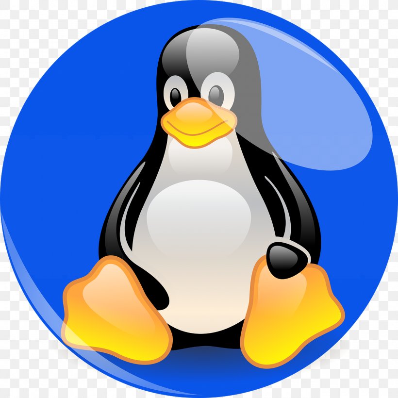 Yum Linux Computer Servers CentOS Patch, PNG, 1280x1280px, Yum, Beak, Bird, Centos, Computer Servers Download Free