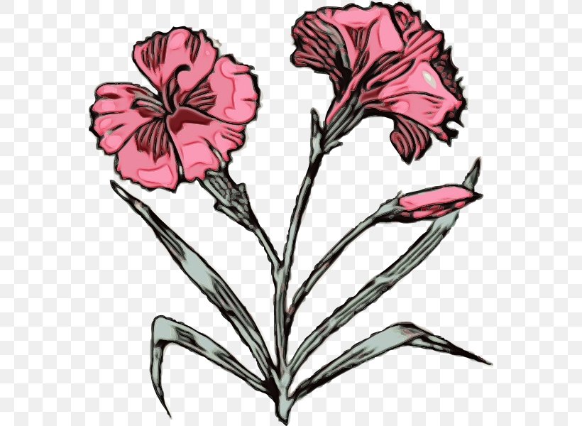 Flower Flowering Plant Plant Petal Pink, PNG, 570x600px, Watercolor, Flower, Flowering Plant, Paint, Pedicel Download Free