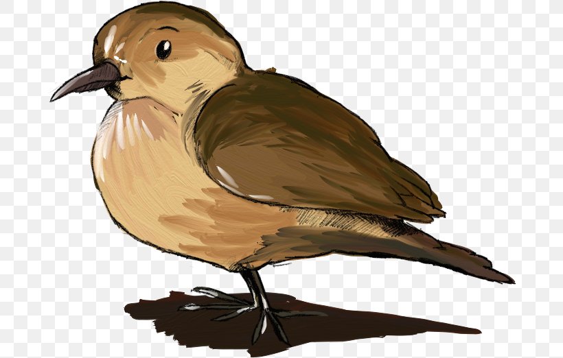 Beak Rufous Hornero Bird Cygnini, PNG, 682x522px, Beak, Bird, Cascading Style Sheets, Cygnini, Directory Download Free