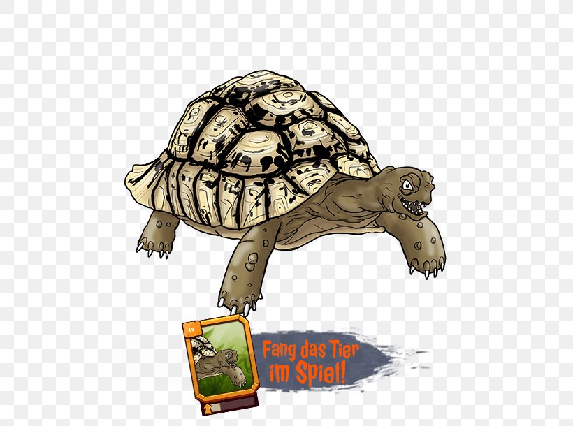 Box Turtles &Co. The Originals Tortoise Fauna, PNG, 500x610px, Box Turtles, Animal, Box Turtle, Cartoon, Co The Originals Download Free