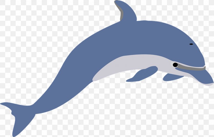Dolphin Clip Art, PNG, 960x617px, Dolphin, Beak, Bottlenose Dolphin, Common Bottlenose Dolphin, Document Download Free