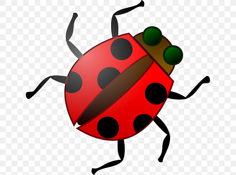 Beetle Software Bug Clip Art, PNG, 640x610px, Beetle, Animation, Artwork, Drawing, Insect Download Free