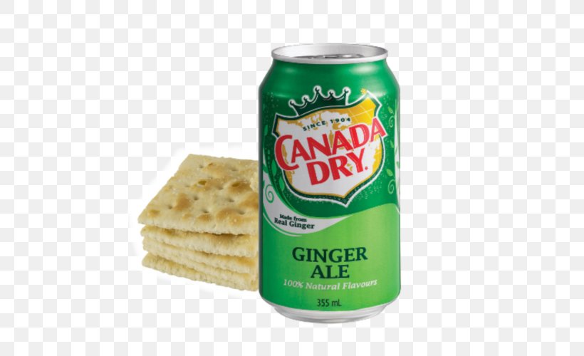 Ginger Ale Fizzy Drinks Carbonated Water Drink Mixer Canada Dry, PNG, 500x500px, Ginger Ale, Beverage Can, Canada Dry, Carbonated Water, Dr Pepper Download Free