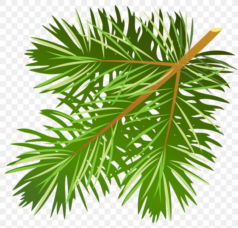 Pine Branch Conifer Cone Clip Art, PNG, 1265x1215px, Pine, Arecales, Borassus Flabellifer, Branch, Conifer Cone Download Free