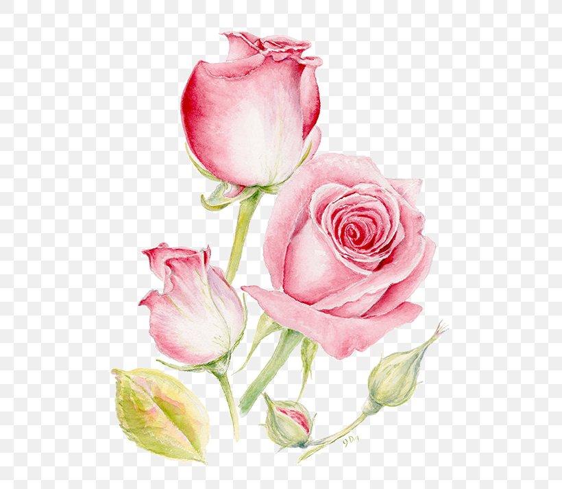 Pink Flowers Painting Printmaking, PNG, 570x713px, Flower, Art, Bud, Cut Flowers, Decorative Arts Download Free