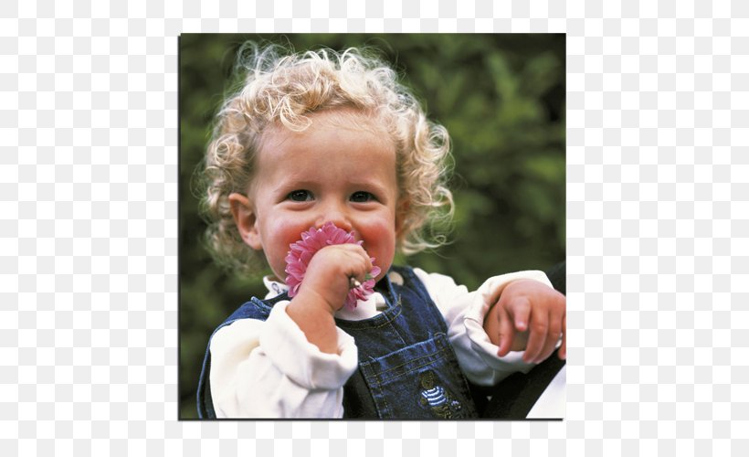 Toddler, PNG, 500x500px, Toddler, Child, Eating, Finger, Mouth Download Free