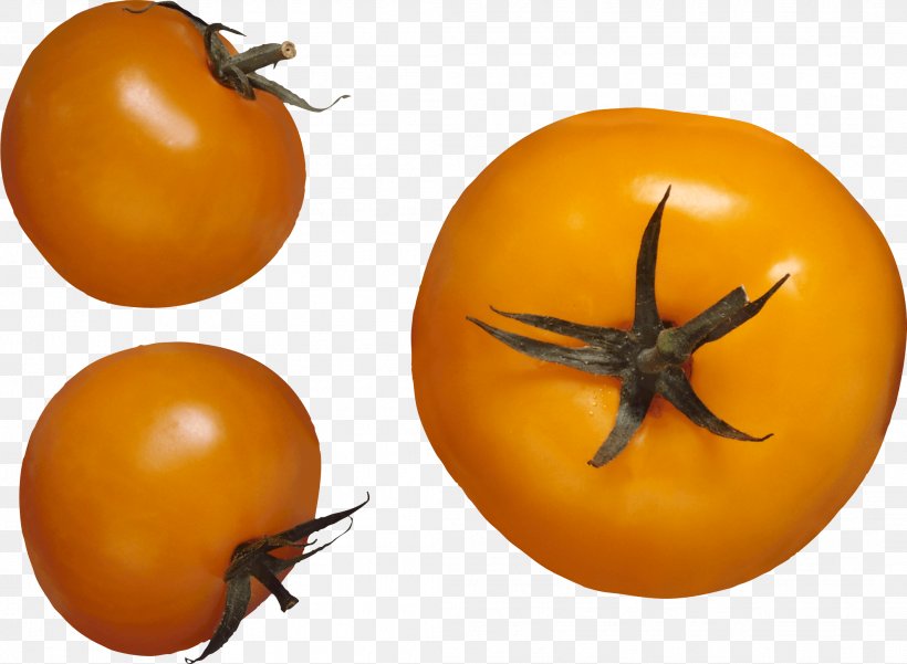 Pear Tomato, PNG, 2111x1548px, Tomato, Bush Tomato, Calabaza, Digital Image, Diospyros Download Free