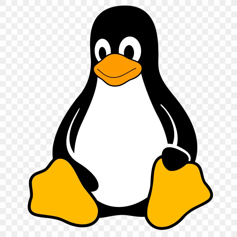 Cartoon Bird, PNG, 2000x2000px, Penguin, Beak, Bird, Computer Software, Emperor Penguin Download Free
