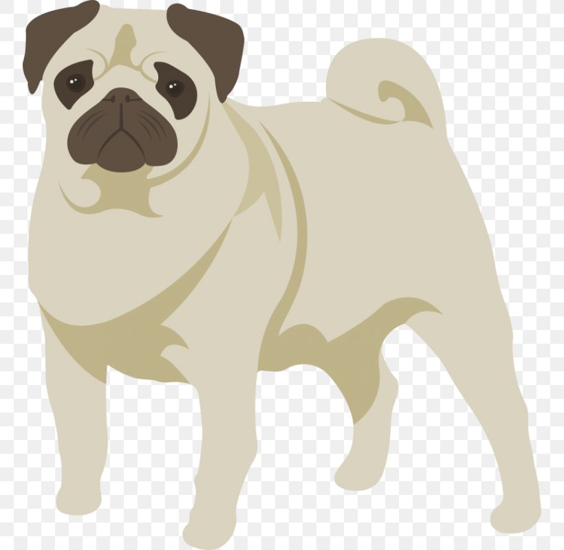Dog Puppy Cat Pet, PNG, 800x800px, Dog, Aging In Dogs, Animal, Breed, Carnivoran Download Free