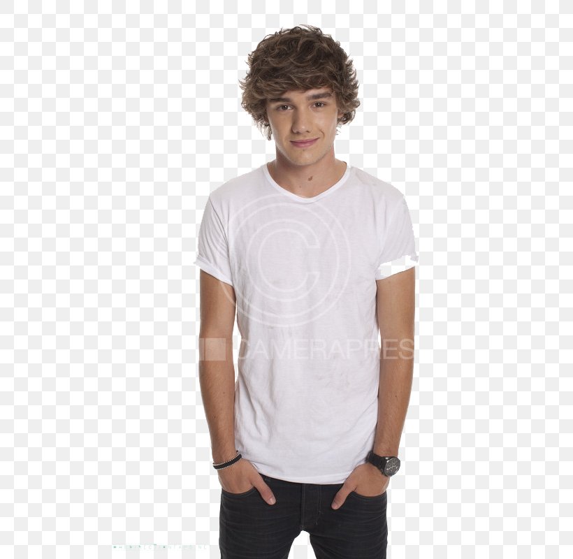 Liam Payne Photography One Direction Cry Me A River, PNG, 533x800px, Watercolor, Cartoon, Flower, Frame, Heart Download Free
