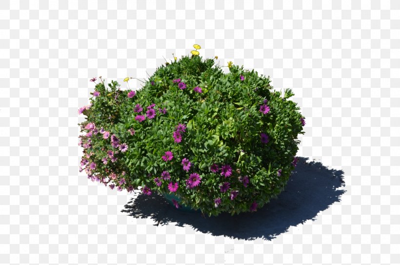 Flowerpot Plant Stock Photography, PNG, 1600x1060px, Flower, Annual Plant, Art, Cut Flowers, Deviantart Download Free