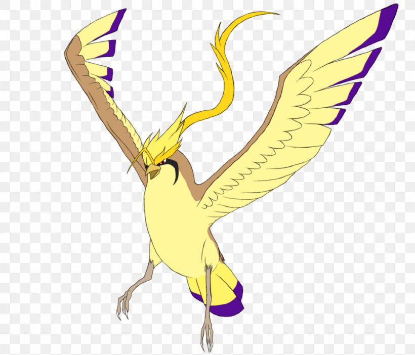 Pidgeot Pokémon Hashtag Photograph Image, PNG, 965x827px, Pidgeot, Album, Art, Beak, Bird Download Free