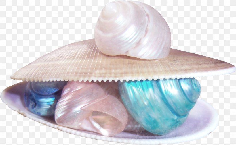 Beach Of La Concha Sandy Beach Seashell, PNG, 1459x899px, Beach Of La Concha, Beach, Clams Oysters Mussels And Scallops, Conch, Designer Download Free